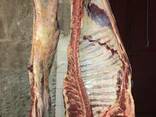 Beef, Cow, Veal / Frozen - photo 1