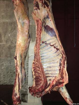 Beef, Cow, Veal / Frozen