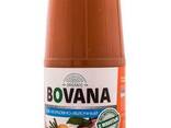 Natural juice from Kazakhstan - photo 3