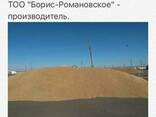 Реализуем с собственных полей на экспорт пшеницу, лен, подсо
