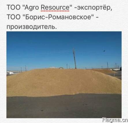 Реализуем с собственных полей на экспорт пшеницу, лен, подсо