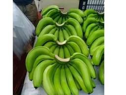 Best Selling Organic Fresh Green Cavendish Bananas Naturally Sweet 100 Maturity Grade 1