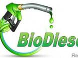 Biodiesel B-100 , CP 8 y CP 10 (Биодизель) - фото 1