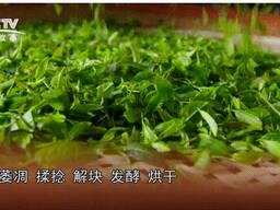 Чай белых волосов из южней горы