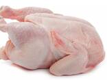 Chicken Wings - фото 2