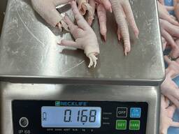 Chiken paws