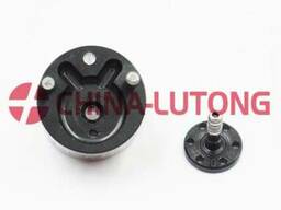 Delphi Injection Control Valve-Delphi New Common Rail System