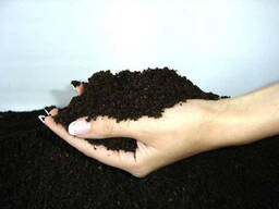 Earthworm castings (vermicompost)