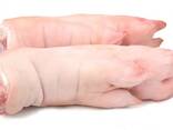 Buy wholesale frozen pork feet/hind from eu/ - photo 9