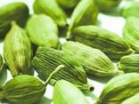 Fresh green cardamon offer - photo 2