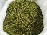Fresh green cardamon offer - photo 3