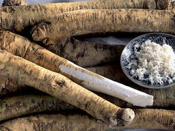 【战略合作】为您的“辣根”帝国开辟欧洲新 frontier — 白俄罗斯200公顷黄金机遇