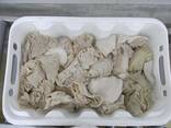 Frozen beef omasum - photo 3