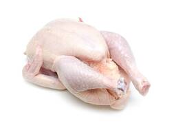 Frozen Chicken Drumstick Chicken Legs