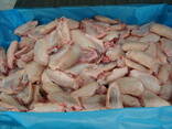 Frozen chicken mid wings - фото 2