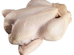 Frozen chicken whole for sale good price