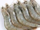 Frozen Vannamei HLSO Shrimp - photo 1