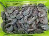 Frozen Vannamei HLSO Shrimp - photo 3