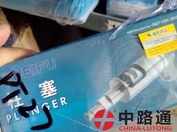 Fuel Injection Pump Plunger IW7