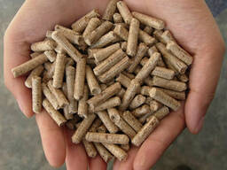 Good price wood pellets offer