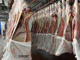 四分之一公牛胴体 CNCA