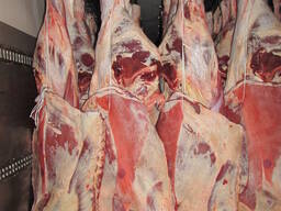 Говядина замороженная