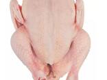 Halal Certified Frozen Whole Chicken For Sale Wholesale Frozen Halal Whole Chicken Frozen - photo 1