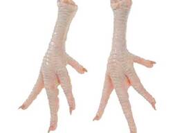 Halal Frozen Chicken Feet