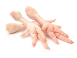 Halal Quality Frozen Chicken Feet