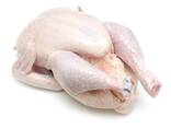 Halal Frozen Chicken From Brazil - фото 1