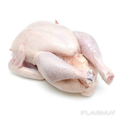 Halal Frozen Chicken From Brazil