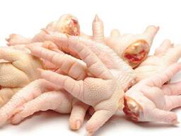 Halal Frozen Chicken Paws