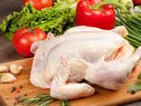 Halal - Frozen Chicken, Thigh, Back quarter, Wings , Fillet IPBF , IQF, BF. Ukraine - фото 2