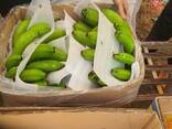 Wholesale Organic Fresh Cavendish Banana Supplier | Reliable Year-Round Export - фото 1