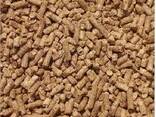 High-Quality Animal Feed – Nutrient-Rich, Custom Blends for Livestock, &amp; Poultry - photo 2