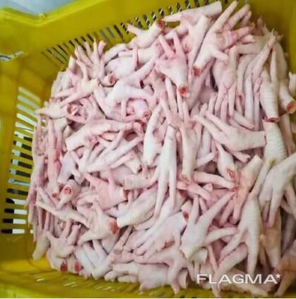 High Quality Chicken Paws/Wholesale Frozen Chicken Feet for Sale at Best Price