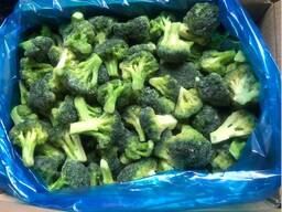 IQF broccoli