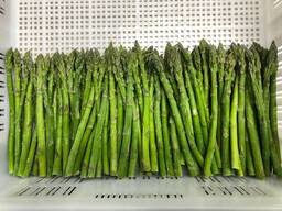 IQF green asparagus