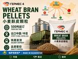 哈萨克斯坦小麦麸皮颗粒批发 | 500吨起订 | FCA生产商仓库 | 出口中国 - photo 1