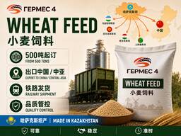 Kazakhstan Wheat Feed | 500 tons MOQ | Export to China | Railway Delivery