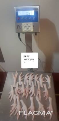 鸡爪 feet B级品类销往中国