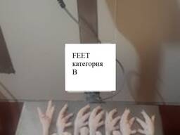 鸡爪 feet B级品类销往中国