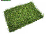 Ландшафтная искусственная трава 25mm - фото 3