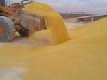 Lump and granul gas sulfur 99,95 - 99.98% produced in Turkmenistan CIF CHINA - фото 1