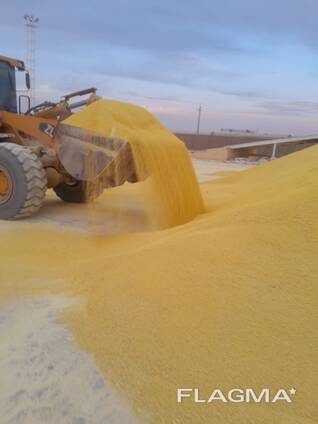 Lump and granul gas sulfur 99,95 - 99.98% produced in Turkmenistan CIF CHINA