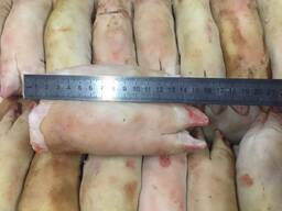 Ноги свиные