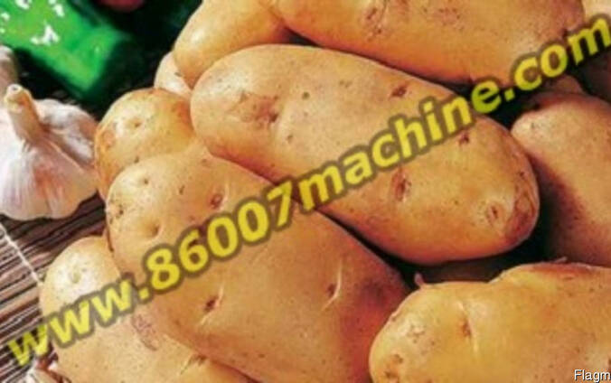 Оборудование для мойки и сушки картофеля