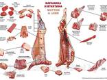 Оптом Баранина Мясо Халяль Украина LLC Mitlife - photo 3