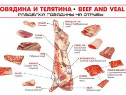 Отруба говядина оптом