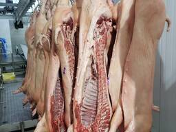 Pork For Export 4 and 6 cuts
